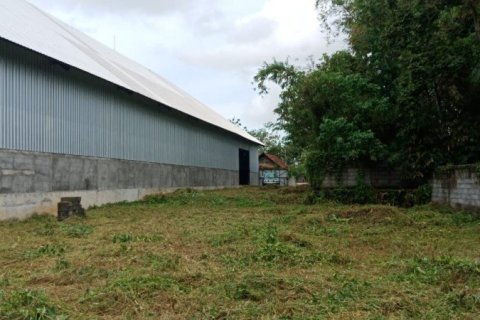 1500m² Land in Kerambitan, Indonesia No. 22961 1