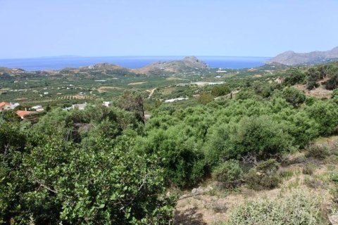 7372m² Land à Rethymno, Greece No. 24095 7