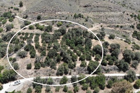 7372m² Land à Rethymno, Greece No. 24095 3