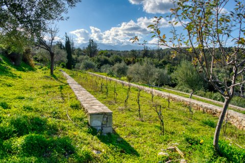 5 bedrooms Villa in Chania, Greece No. 76661 10