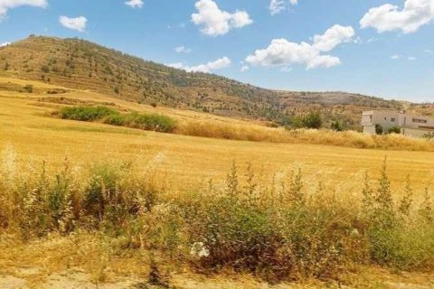 24800m² Land en Oroklini, Cyprus No. 73783 2