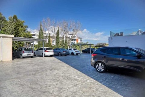 2 bedrooms Apartment in Germasogeia, Cyprus No. 77605 13