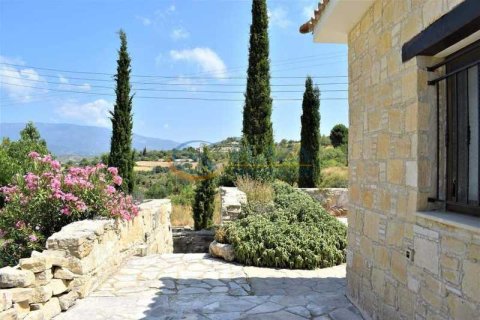 4 dormitorios House en Dhoros, Cyprus No. 30240 16