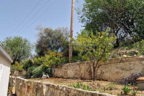 4 dormitorios House en Dhoros, Cyprus No. 30240 4