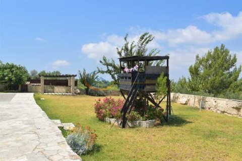 4 dormitorios House en Dhoros, Cyprus No. 30240 15