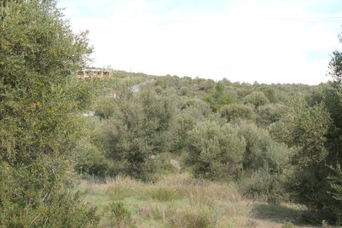 13244m² Land in Polygyros, Greece No. 57631 8