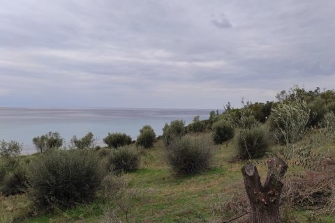 1625m² Land en Chalkidiki, Greece No. 56159 3