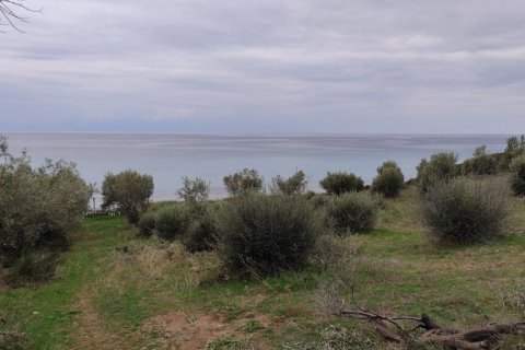 1625m² Land en Chalkidiki, Greece No. 56159 1