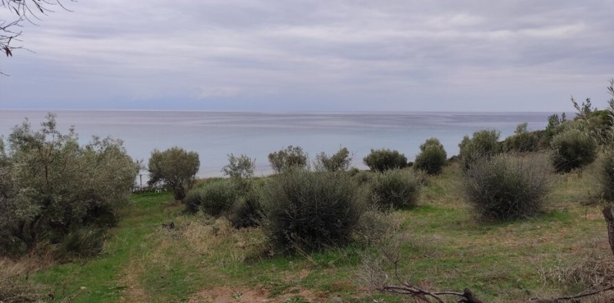 1625m² Land en Chalkidiki, Greece No. 56159