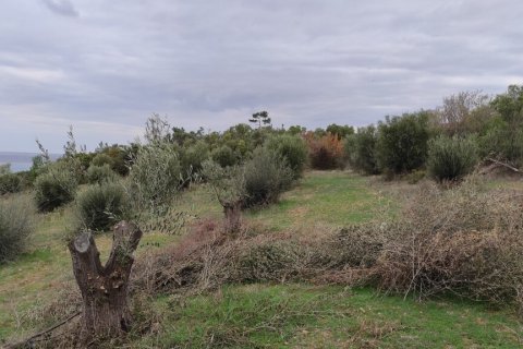 1625m² Land in Chalkidiki, Greece No. 56159 5