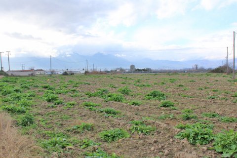 48714m² Land in Katerini, Greece No. 56143 2