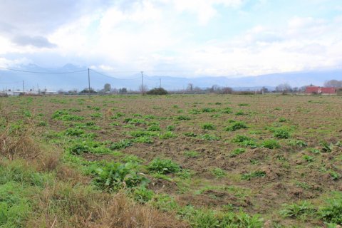 48714m² Land à Katerini, Greece No. 56143 1