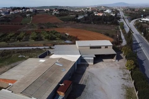 480m² Business in Chalkidiki, Greece No. 56158 1