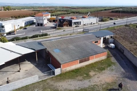 480m² Business in Chalkidiki, Greece No. 56158 4