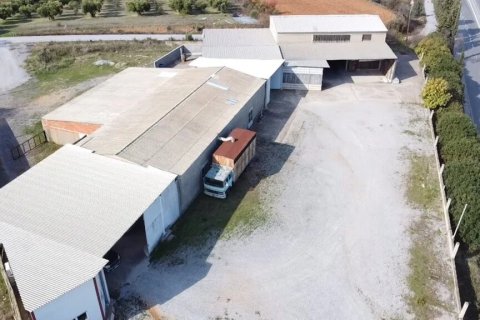 480m² Business in Chalkidiki, Greece No. 56158 3