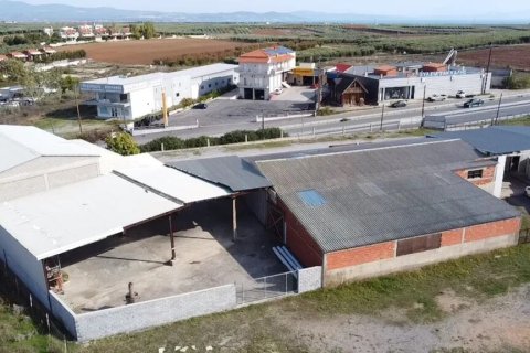 480m² Business in Chalkidiki, Greece No. 56158 6