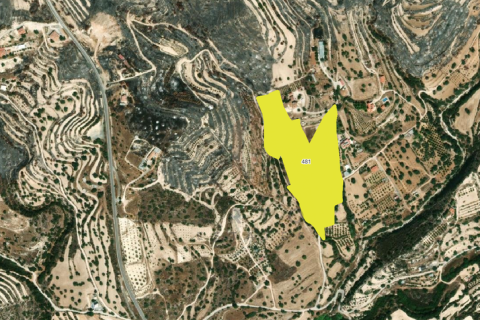 29342m² Land en Paramytha, Cyprus No. 72957 2