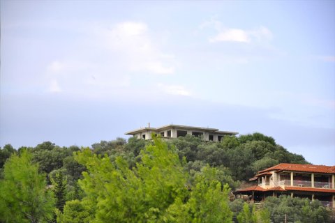 700m² Villa à Chalkidiki, Greece No. 59403 21