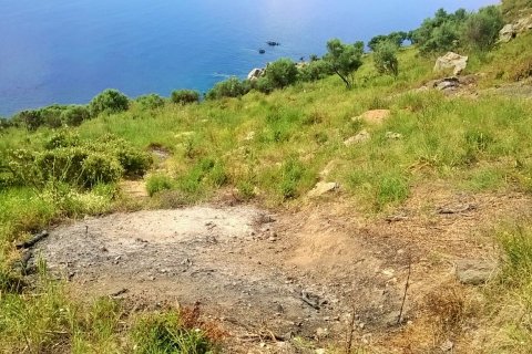 17720m² Land in Chalkidiki, Greece No. 58728 3