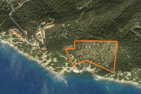 17720m² Land in Chalkidiki, Greece No. 58728 4