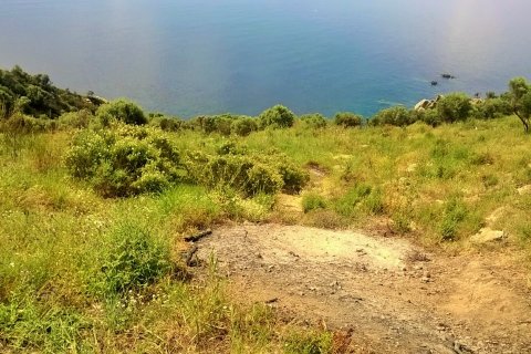 17720m² Land in Chalkidiki, Greece No. 58728 2