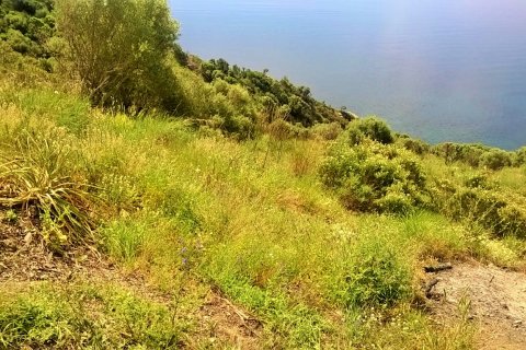 17720m² Land en Chalkidiki, Greece No. 58728 1