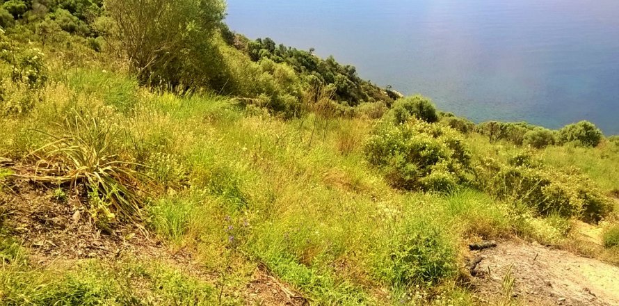 17720m² Land en Chalkidiki, Greece No. 58728