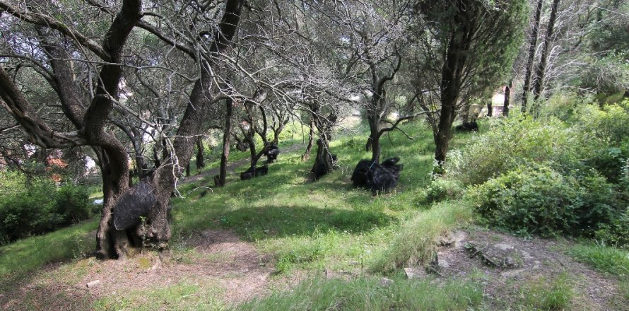 4200m² Land in Corfu, Greece No. 58729