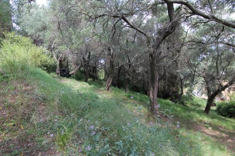 4200m² Land en Corfu, Greece No. 58729 2