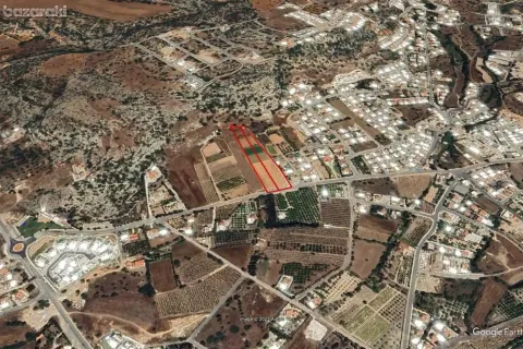 13378m² Land in Pegeia, Cyprus No. 43983 2