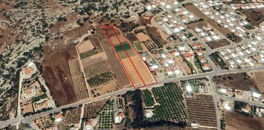 13378m² Land à Pegeia, Cyprus No. 43983