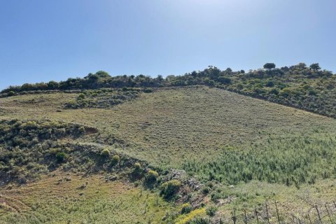 35000m² Land in Chania, Greece No. 54634 2