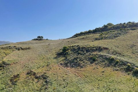 35000m² Land in Chania, Greece No. 54634 3