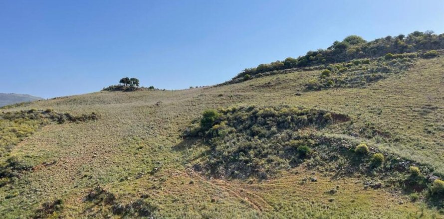 25000m² Land in Chania, Greece No. 54636