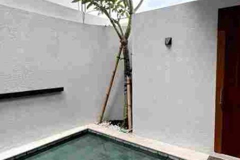 2 bedrooms Villa in Kerobokan, Indonesia No. 45298 18