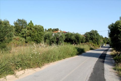 4000m² Land in Chalkidiki, Greece No. 60468 7