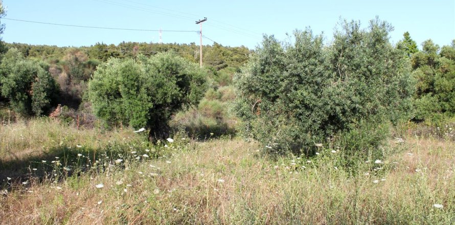 4000m² Land en Chalkidiki, Greece No. 60468