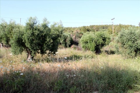 4000m² Land en Chalkidiki, Greece No. 60468 2