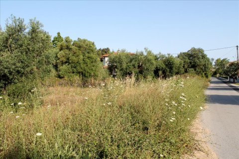 4000m² Land à Chalkidiki, Greece No. 60468 4