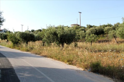 4000m² Land in Chalkidiki, Greece No. 60468 3