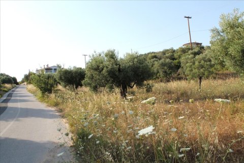 4000m² Land en Chalkidiki, Greece No. 60468 6