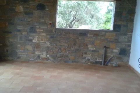 2 bedrooms Villa in Trikeri, Greece No. 54808 30