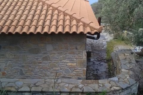 2 bedrooms Villa in Trikeri, Greece No. 54808 20