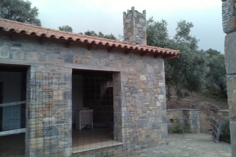 2 bedrooms Villa in Trikeri, Greece No. 54808 10