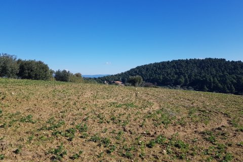 9000m² Land in Chalkidiki, Greece No. 56665 2