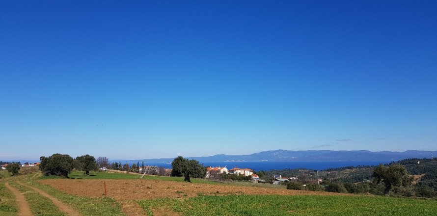 9000m² Land in Chalkidiki, Greece No. 56665