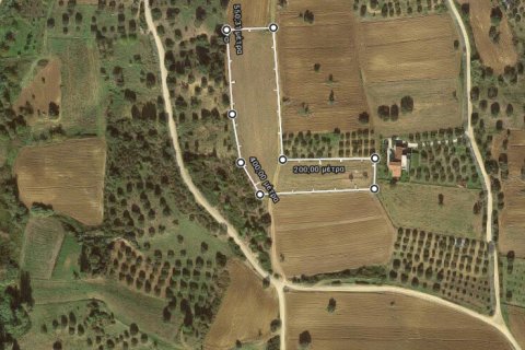 9000m² Land en Chalkidiki, Greece No. 56665 10