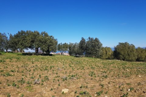 9000m² Land in Chalkidiki, Greece No. 56665 8