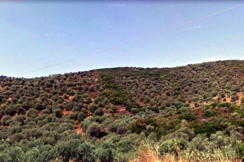 4765m² Land à Chalkidiki, Greece No. 58064 1