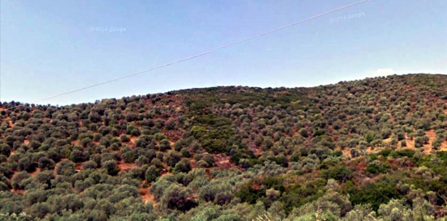 4765m² Land in Chalkidiki, Greece No. 58064